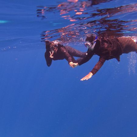 ホテル オリーブ ゴイッドホー Goidhoo エクステリア 写真